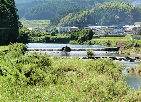 河川計画　事例